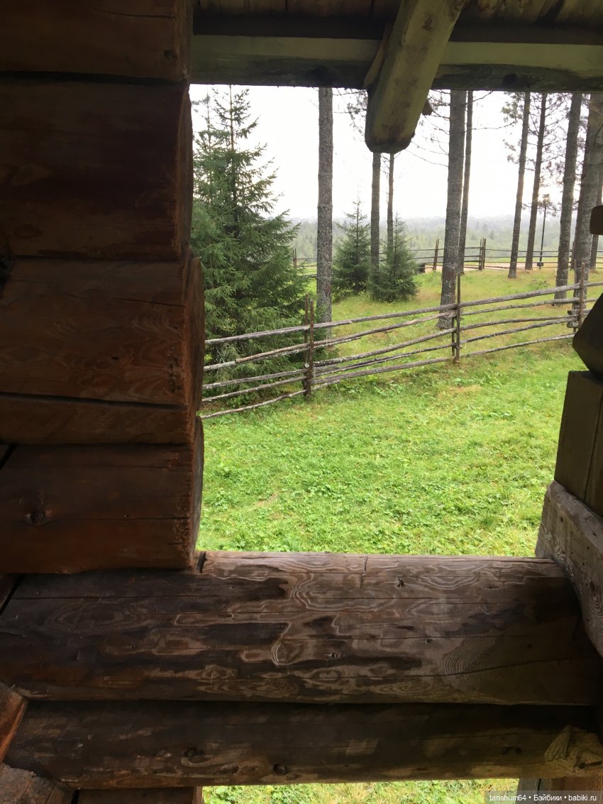 Капризное северное лето (продолжение) | Бэйбики Капризное северное лето (продолжение)