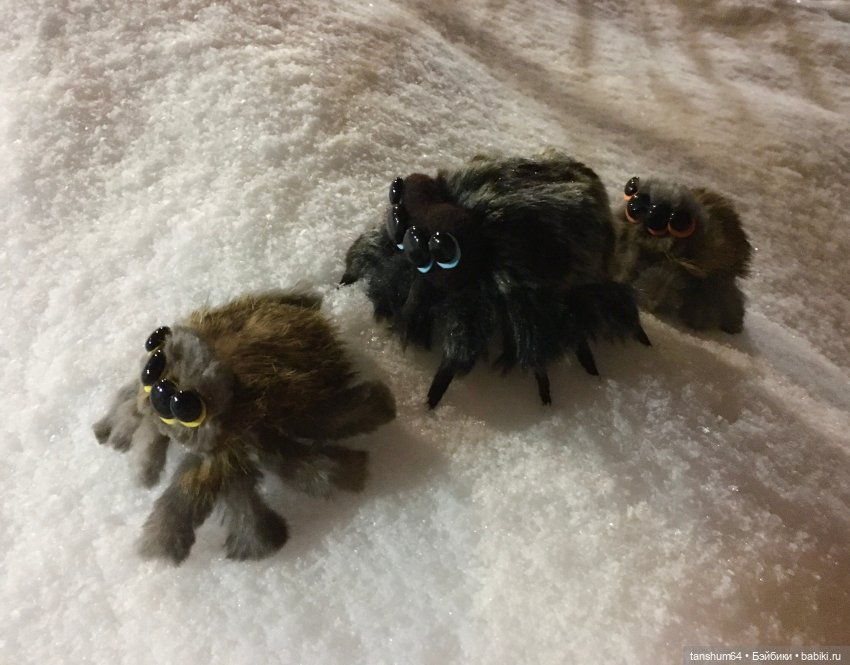 Новые паучата или фантазии в ожидании праздника