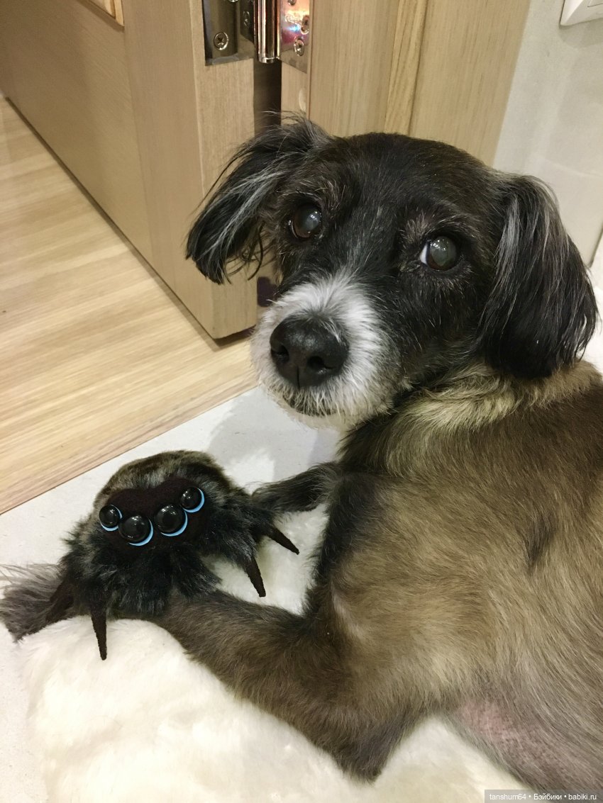 Новые паучата или фантазии в ожидании праздника (фото 7)