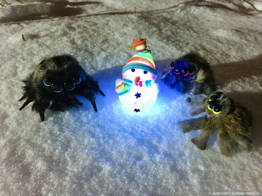Новые паучата или фантазии в ожидании праздника