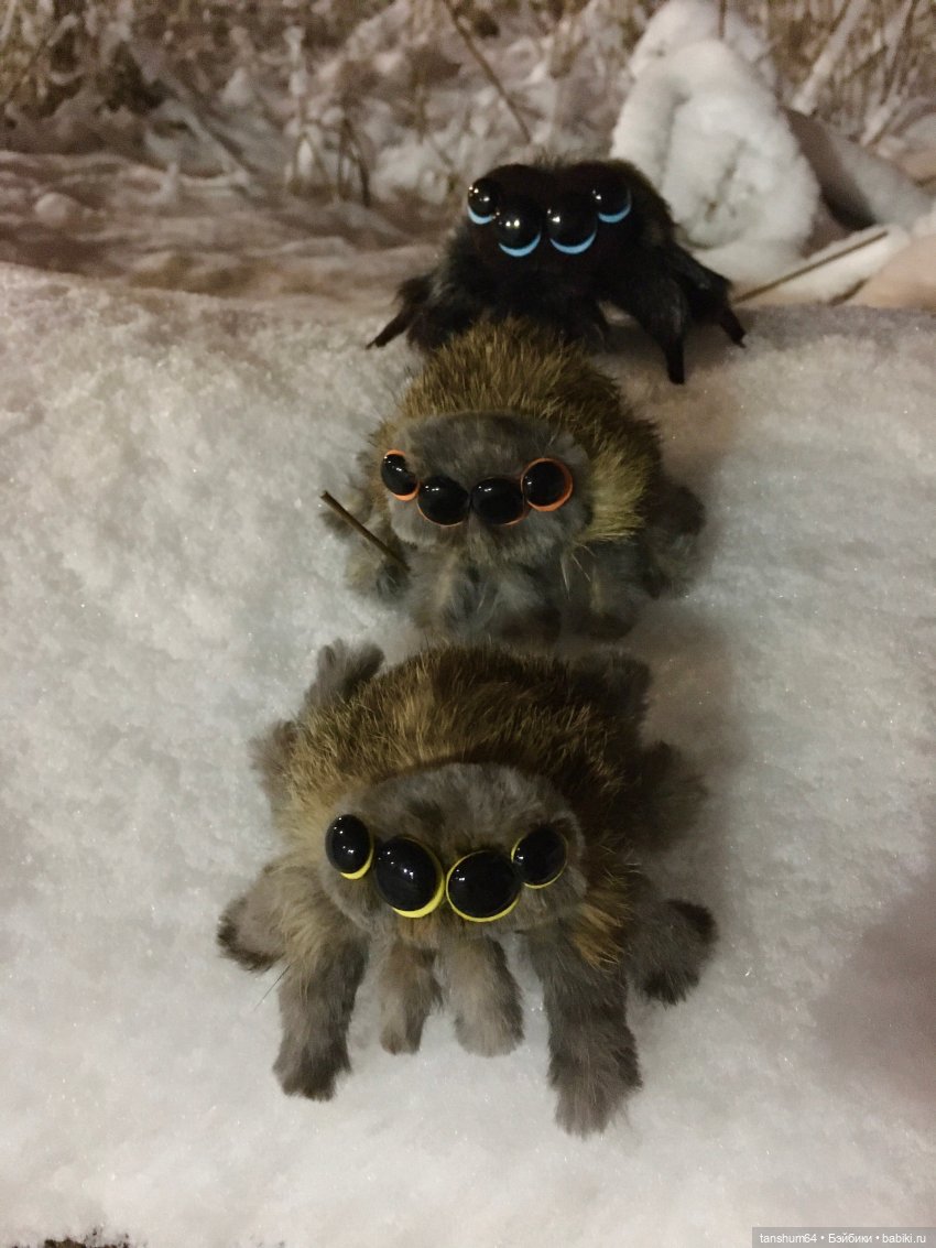 Новые паучата или фантазии в ожидании праздника