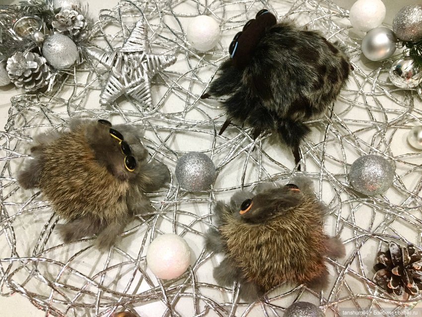 Новые паучата или фантазии в ожидании праздника