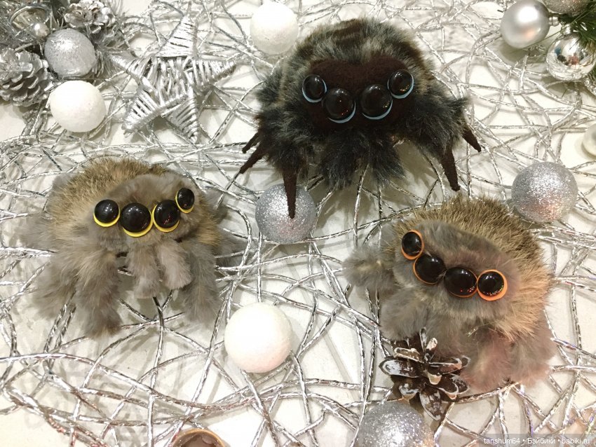 Новые паучата или фантазии в ожидании праздника