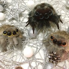 Новые паучата или фантазии в ожидании праздника