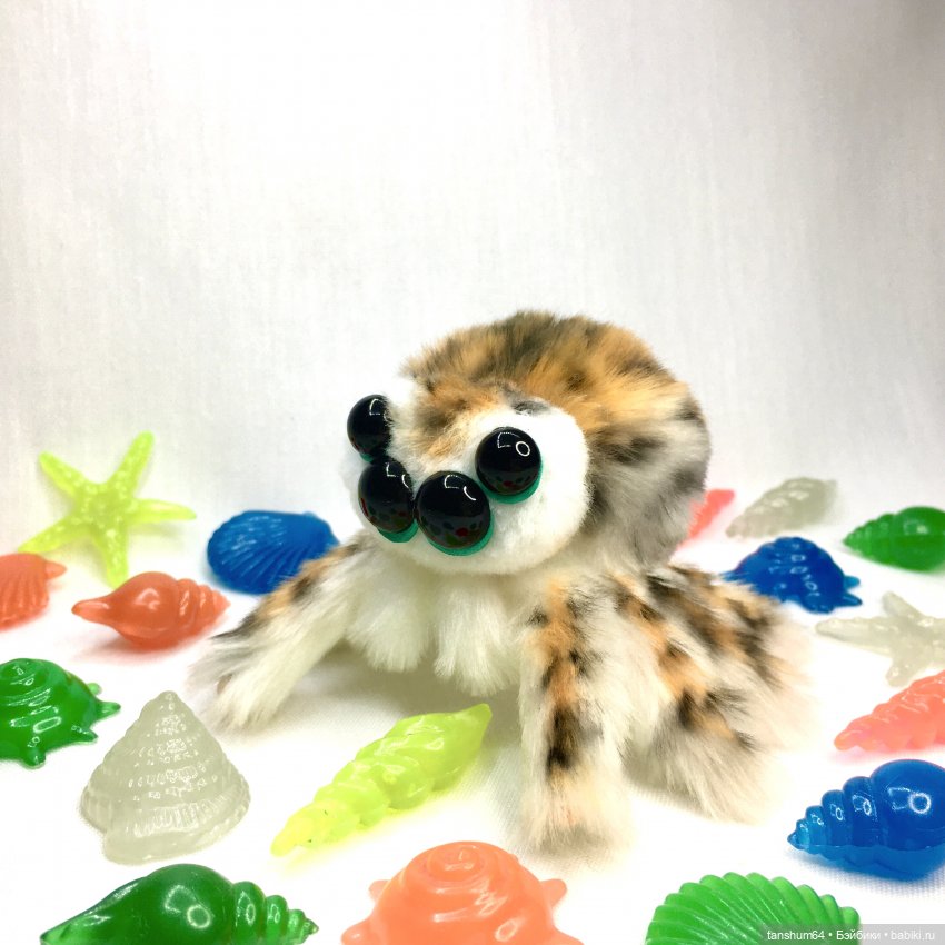 Из семейства леопардовых... новые паучата из Паукодома Анастасии