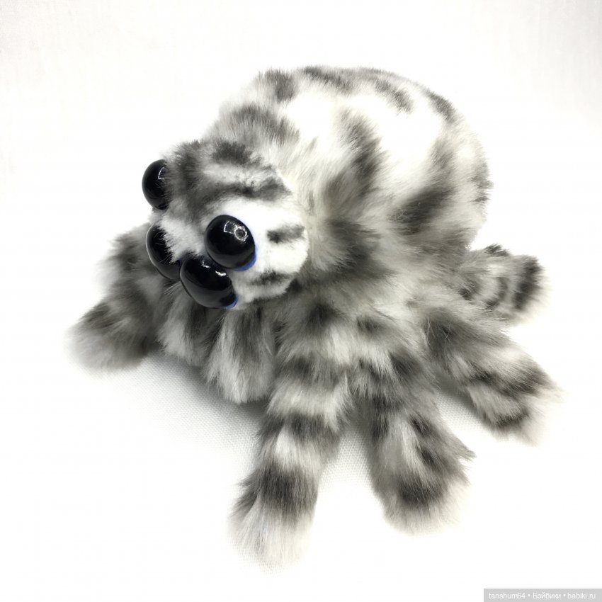 Из семейства леопардовых... новые паучата из Паукодома Анастасии (фото 4)