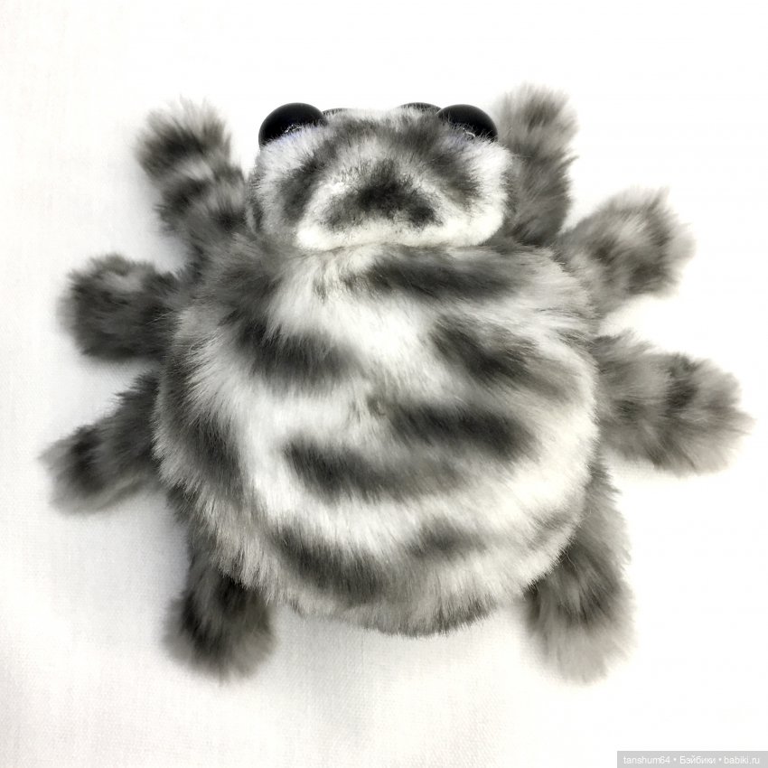 Из семейства леопардовых... новые паучата из Паукодома Анастасии (фото 6)