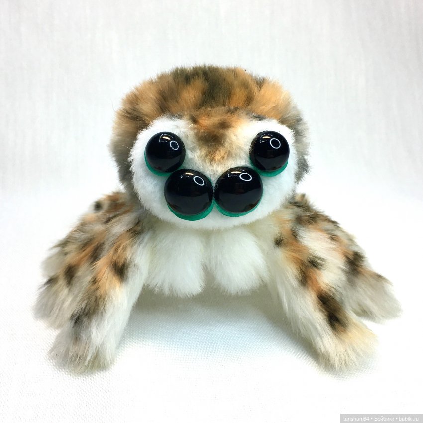 Из семейства леопардовых... новые паучата из Паукодома Анастасии