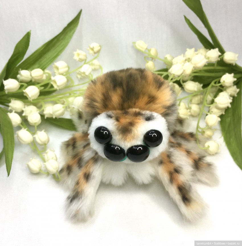 Из семейства леопардовых... новые паучата из Паукодома Анастасии