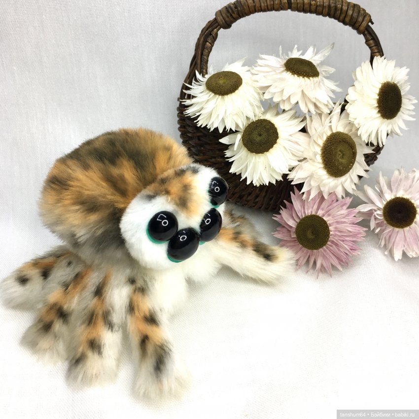 Из семейства леопардовых... новые паучата из Паукодома Анастасии