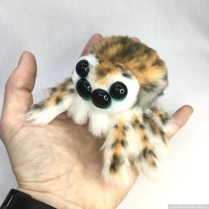 Из семейства леопардовых... новые паучата из Паукодома Анастасии