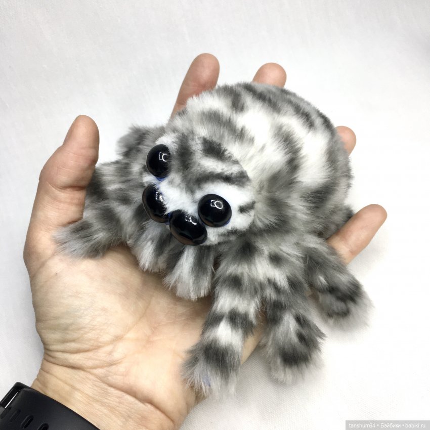 Из семейства леопардовых... новые паучата из Паукодома Анастасии (фото 8)