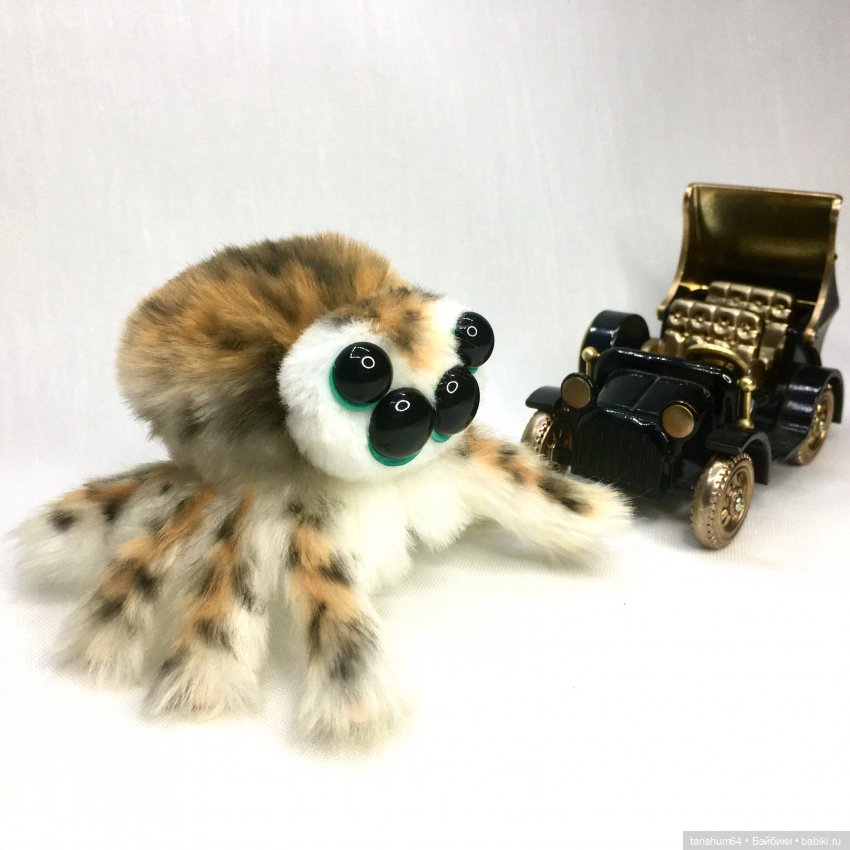 Из семейства леопардовых... новые паучата из Паукодома Анастасии