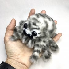 из семейства леопардовых... новые паучата из Паукодома Анастасии