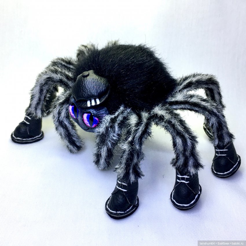 Топ,топ,топает... паук. Иннокентий (Кеша)