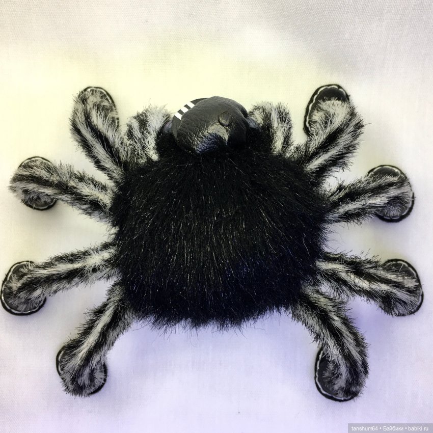Топ,топ,топает... паук. Иннокентий (Кеша) (фото 6)