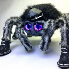 Топ,топ,топает... паук. Иннокентий (Кеша)