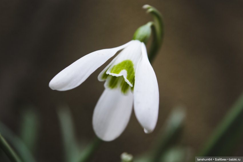 Кирочка — из куклы в девочку | Бэйбики Кирочка — из куклы в девочку (фото 3)