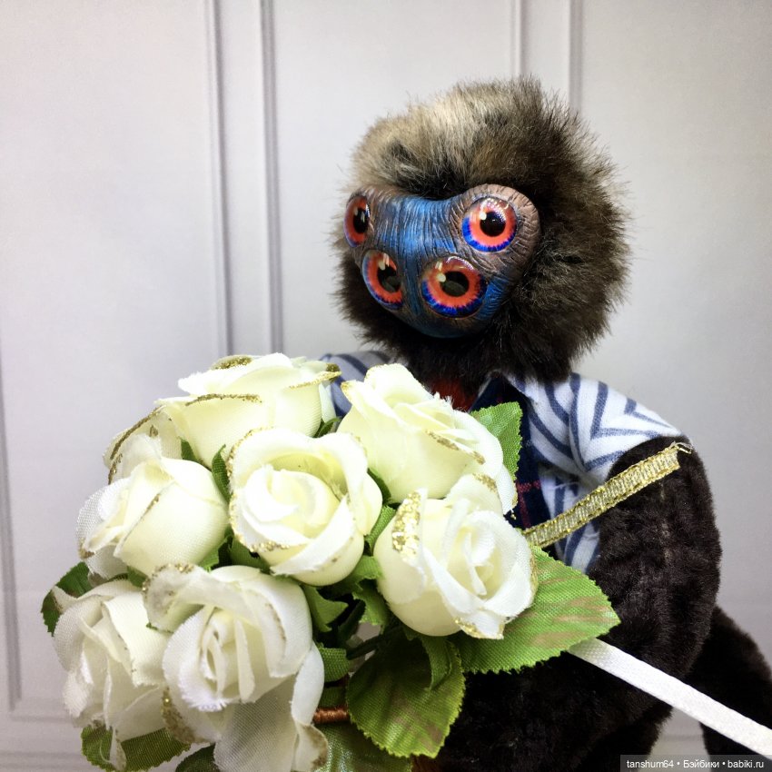 Стенли-многолапка из "Паукодома" (фото 6)