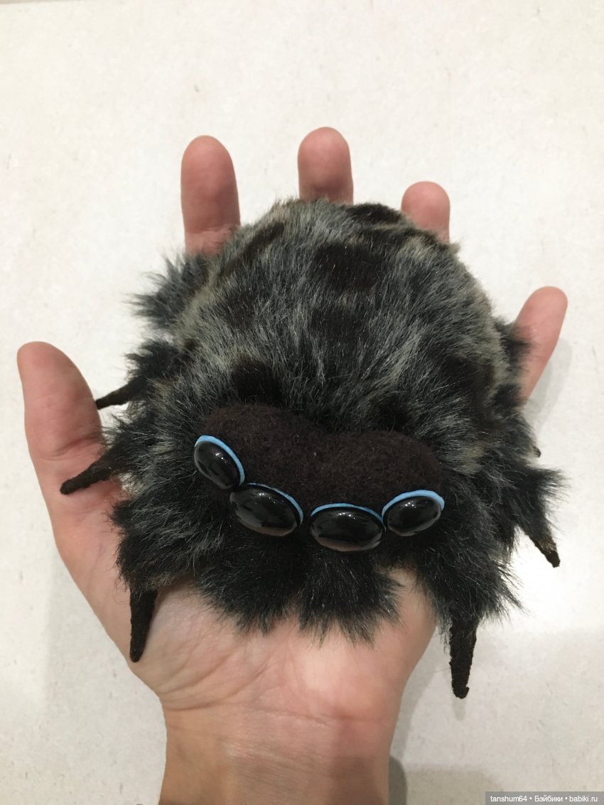 С Днём Рождения, "Паукодом" или нам два года