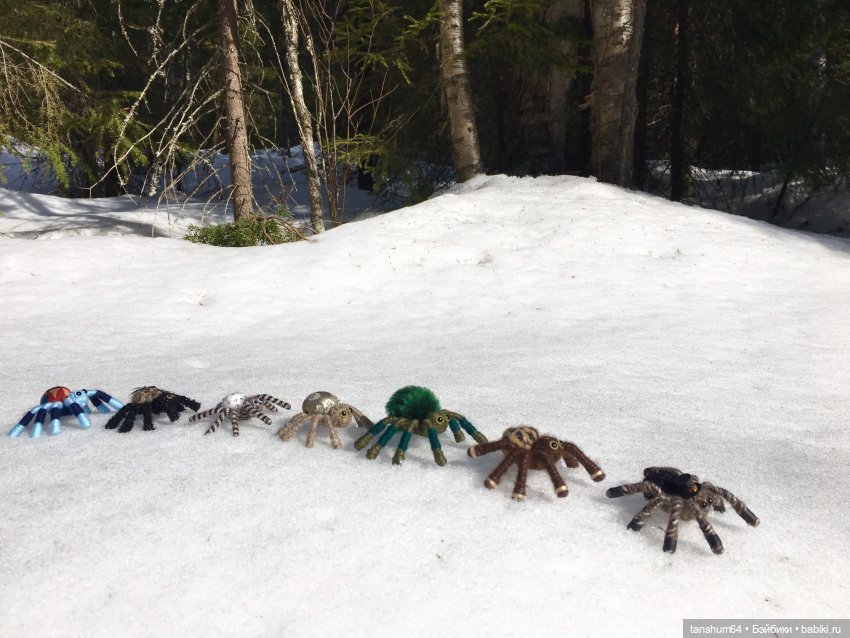 С Днём Рождения, "Паукодом" или нам два года (фото 5)