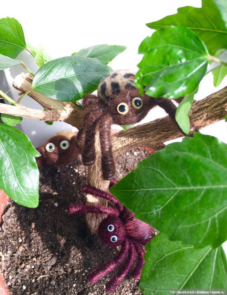 С Днём Рождения, "Паукодом" или нам два года (фото 3)