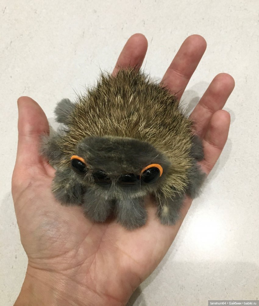 С Днём Рождения, "Паукодом" или нам два года