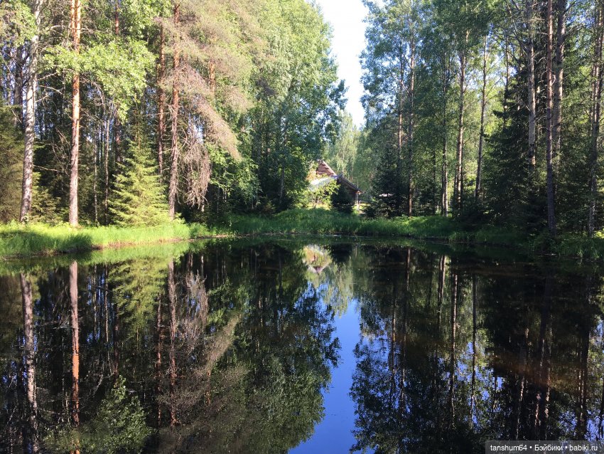 Выгуливаем наряды. Комбезик красный или Аурелия на природе (фото 5)