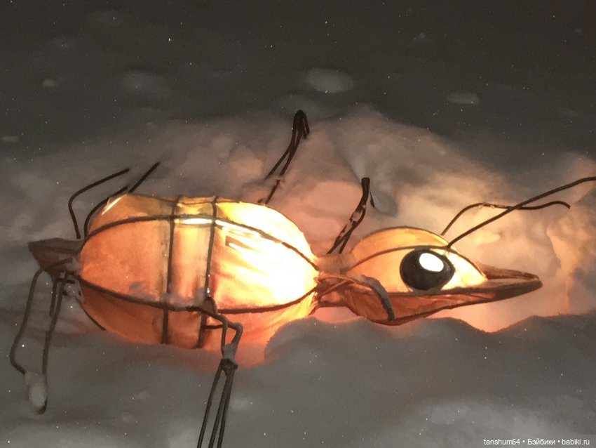 В стране волшебных фонарей или сказка среди зимы (фото 9)