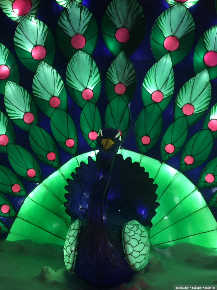 В стране волшебных фонарей или сказка среди зимы