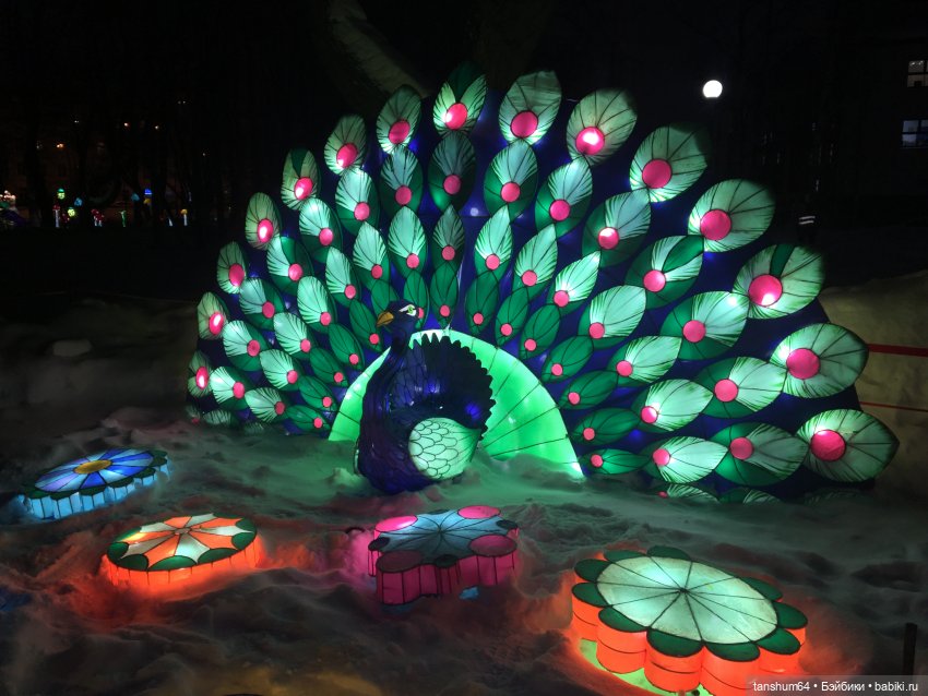 В стране волшебных фонарей или сказка среди зимы