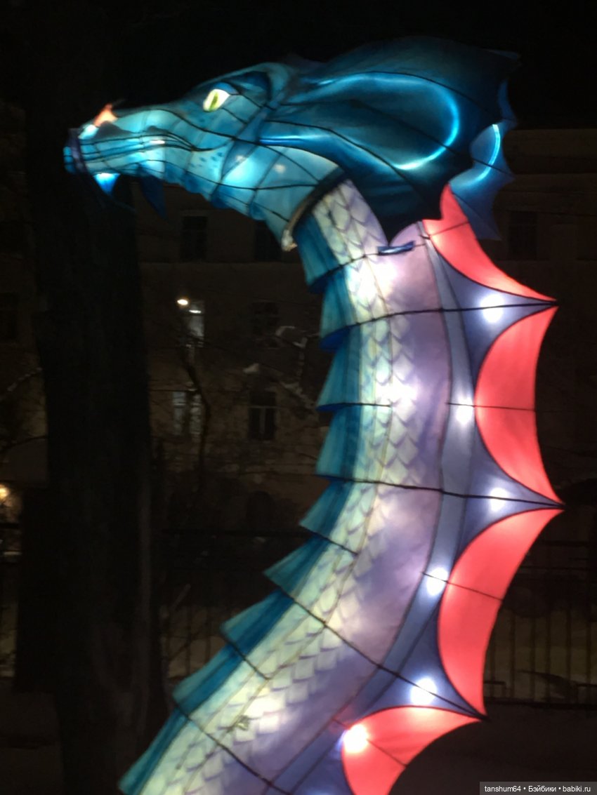 В стране волшебных фонарей или сказка среди зимы (фото 6)