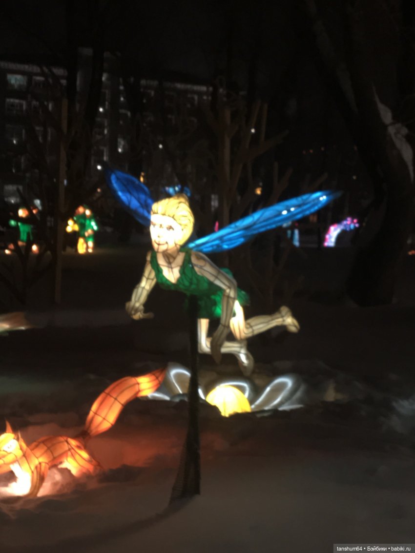 В стране волшебных фонарей или сказка среди зимы (фото 5)