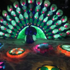 В стране волшебных фонарей или сказка среди зимы