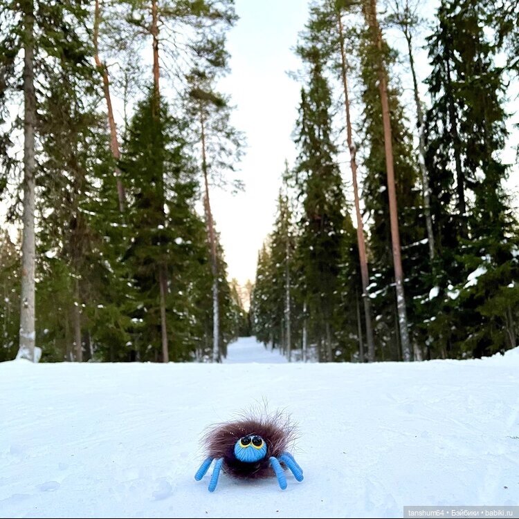 Зимняя прогулка или как паучки в лес убежали | Бэйбики Зимняя прогулка или как паучки в лес убежали (фото 9)