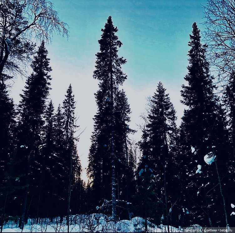 Зимняя прогулка или как паучки в лес убежали | Бэйбики Зимняя прогулка или как паучки в лес убежали (фото 10)