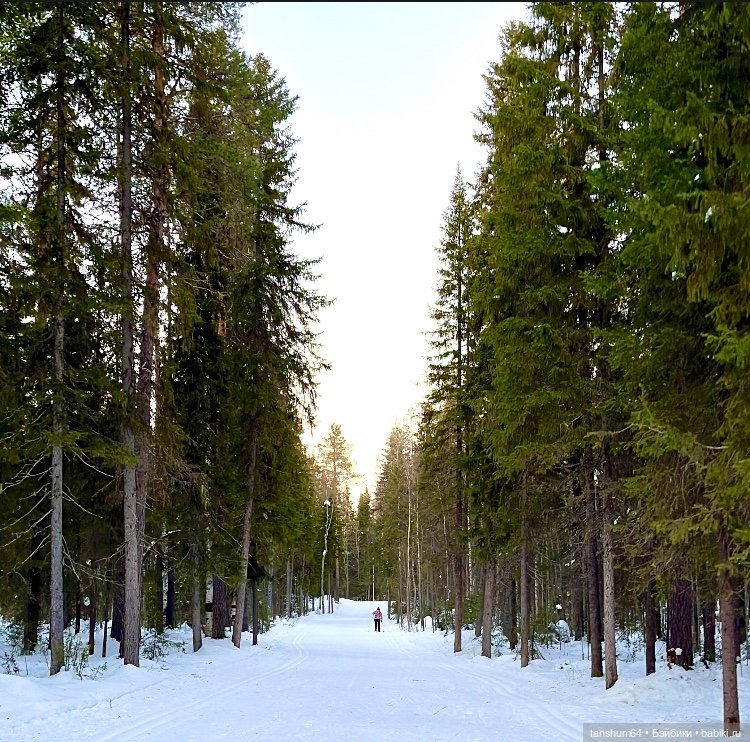 Зимняя прогулка или как паучки в лес убежали | Бэйбики Зимняя прогулка или как паучки в лес убежали (фото 3)