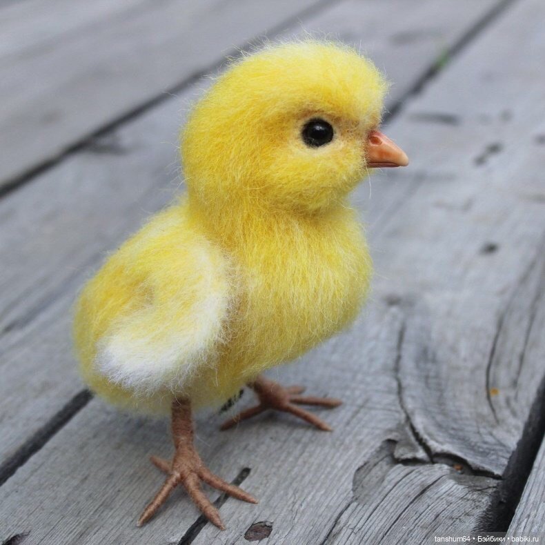Цыпочка или когда цвет вдохновляет