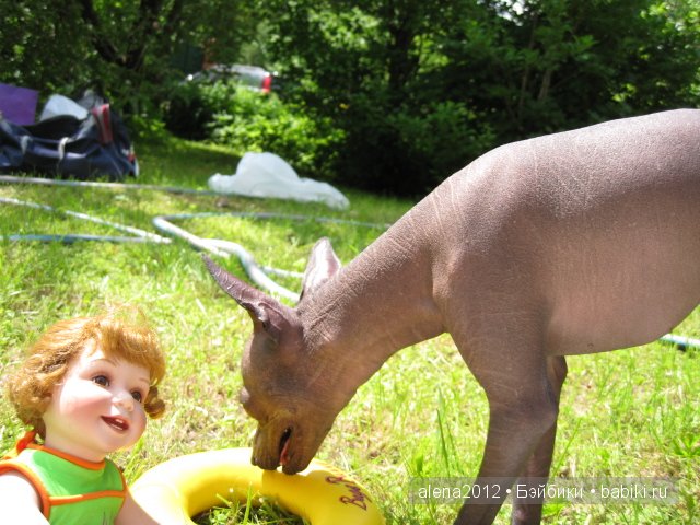 пляжная серия