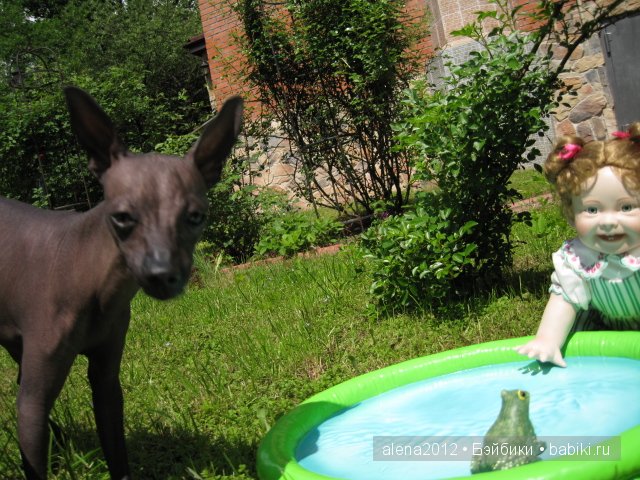 девочка с лягушкой