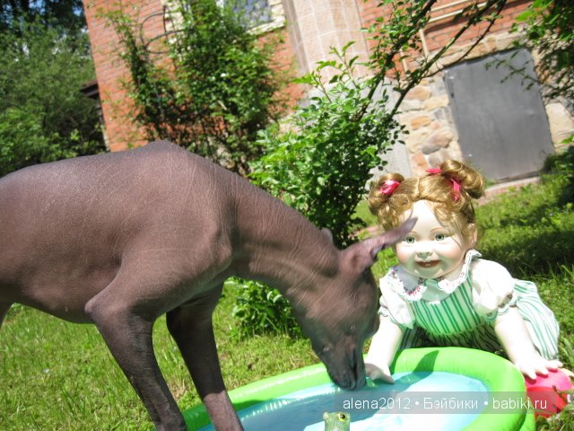 девочка с лягушкой