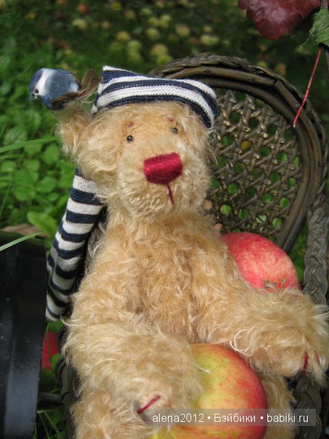 Сбор яблок и хорошего настроения