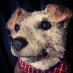 Необычные куклы и звери Annie Montgomerie