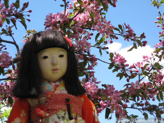 Токио-Москва. Подарок любимой дочери (фото 4)