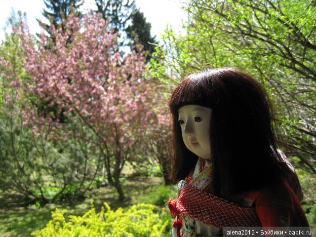 Токио-Москва. Подарок любимой дочери