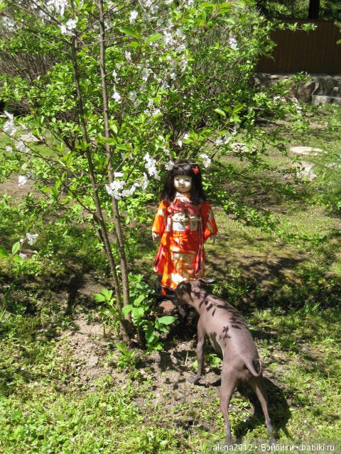 Токио-Москва. Подарок любимой дочери (фото 6)