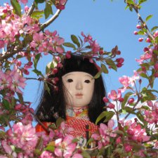 Токио-Москва. Подарок любимой дочери