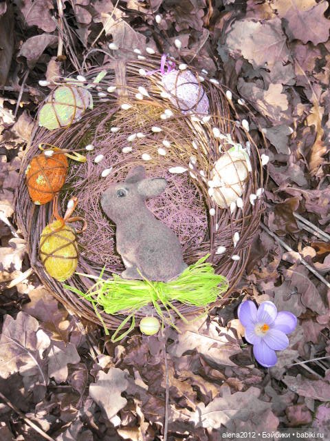 Цветотерапия, или как пережить изоляцию (фото 6)