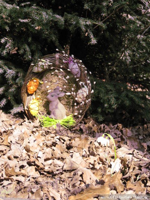 Цветотерапия, или как пережить изоляцию (фото 9)