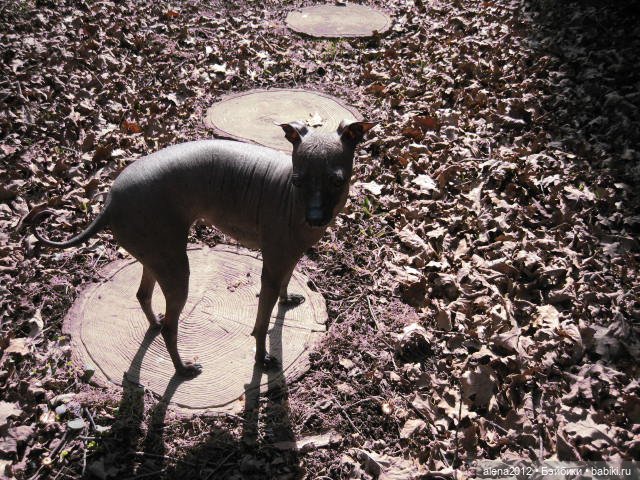 Цветотерапия, или как пережить изоляцию (фото 10)